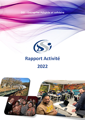 DSI 2022 RAPPORT ACTIVITE visuel