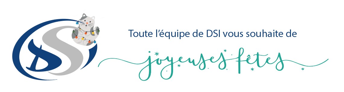 DSI vous souhaite de Joyeuses fêtes