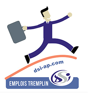 Emploi Tremplin EA DSI