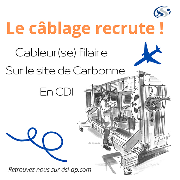 Recrutement cablage DSIweb